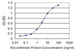 PIGP Monoclonal Antibody (2E7)