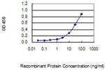 HSFX1 Monoclonal Antibody (3E19)