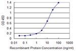 PCF11 Monoclonal Antibody (3G4)