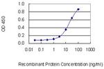 ASB2 Monoclonal Antibody (1E5)