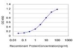 BTBD1 Antibody in ELISA (ELISA)