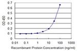 ZFYVE1 Antibody in ELISA (ELISA)
