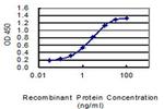 DSCR6 Antibody in ELISA (ELISA)