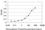CSNK1G1 Antibody in ELISA (ELISA)