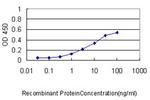 RIPK4 Antibody in ELISA (ELISA)