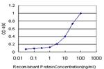 RIPK4 Antibody in ELISA (ELISA)