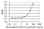 MRPS21 Antibody in ELISA (ELISA)
