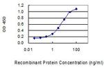 FAM35A Monoclonal Antibody (2F9)