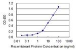 KLHDC4 Antibody in ELISA (ELISA)