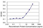 MOCOS Antibody in ELISA (ELISA)
