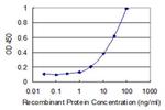 C6ORF166 Antibody in ELISA (ELISA)