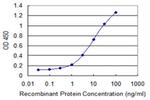 MSL2 Monoclonal Antibody (4C5)
