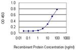 STRADB Antibody in ELISA (ELISA)