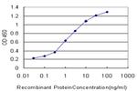 BMP2K Antibody in ELISA (ELISA)