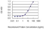 IL26 Monoclonal Antibody (2A8)