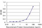 MDS028 Antibody in ELISA (ELISA)