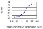 PCDHA11 Monoclonal Antibody (4E10)