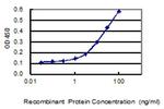SERTAD4 Antibody in ELISA (ELISA)