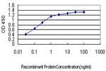 JPH1 Antibody in ELISA (ELISA)