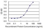 DPYSL5 Antibody in ELISA (ELISA)