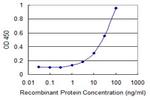 LHX9 Monoclonal Antibody (4C7)