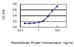 DTWD1 Antibody in ELISA (ELISA)