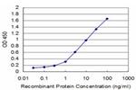 TRIM49 Antibody in ELISA (ELISA)