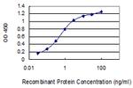 KIAA1143 Antibody in ELISA (ELISA)