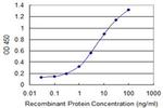 SORCS2 Antibody in ELISA (ELISA)