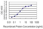 SYT13 Antibody in ELISA (ELISA)
