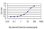 POLD4 Antibody in ELISA (ELISA)