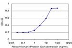 POLD4 Monoclonal Antibody (2C11)