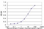 NEUROD6 Antibody in ELISA (ELISA)