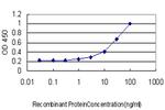 CRLF2 Antibody in ELISA (ELISA)
