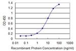 ROBO3 Antibody in ELISA (ELISA)