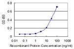 NOC3L Monoclonal Antibody (5E8)