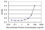 MOSPD3 Antibody in ELISA (ELISA)