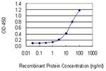 SLC30A5 Monoclonal Antibody (2F10-2B8)