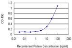 STK33 Antibody in ELISA (ELISA)