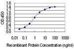 IRX1 Antibody in ELISA (ELISA)