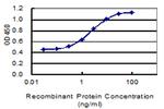 SPAG16 Antibody in ELISA (ELISA)