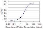 LASS4 Monoclonal Antibody (2C12)