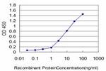 PEAK1 Antibody in ELISA (ELISA)
