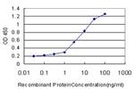 FBXO11 Antibody in ELISA (ELISA)