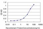COASY Antibody in ELISA (ELISA)