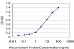 TSSK3 Antibody in ELISA (ELISA)
