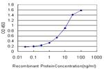 MAP1LC3B Antibody in ELISA (ELISA)