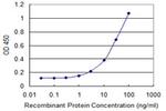 MAP1LC3B Antibody in ELISA (ELISA)