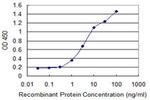 ANGPTL6 Antibody in ELISA (ELISA)
