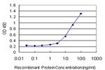 ANGPTL6 Antibody in ELISA (ELISA)
